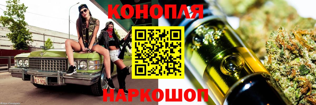 Сунжа  Конопля OG Kush  Шишки марихуана индика  Бошки Шишки планчик  Вход с VPN 